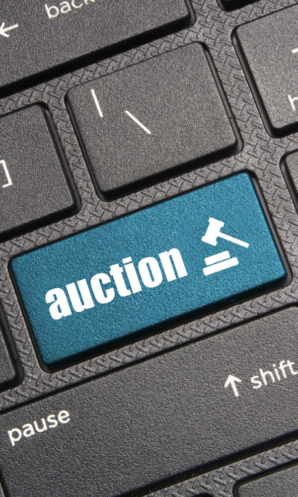Collected Auctions