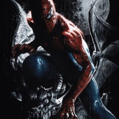 The Amazing Spider-Man, Vol. 5 #45D