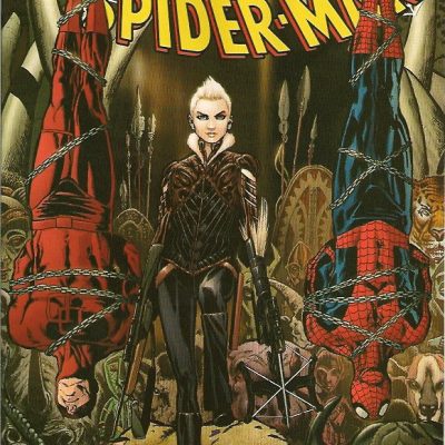 The Amazing Spider-Man #567 (Vol. 2)