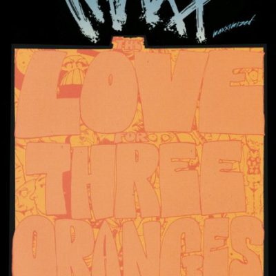 The Maxx #33 (Maxximized)